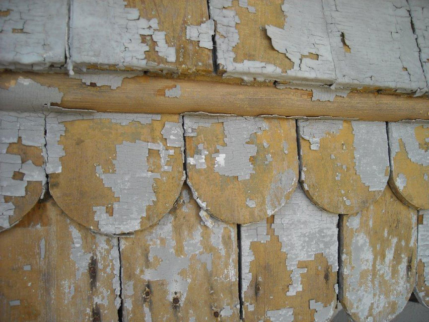 fishscale shingles